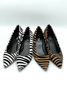 Zebra kengät